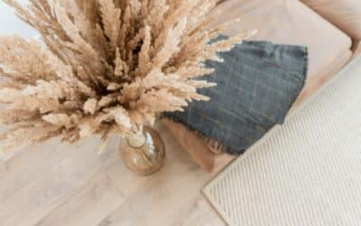 New Content Coming Soon!