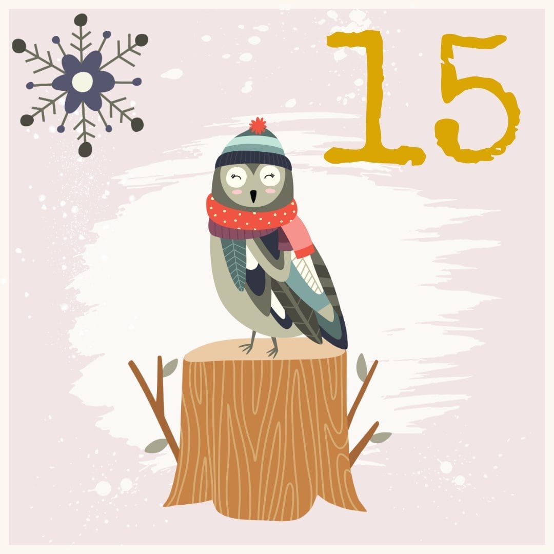Illustration of an owl wearing a blue hat and red scarf, perched on a tree stump. A snowflake is in the top left corner, and the number 15 appears in yellow on a white and pink textured background.